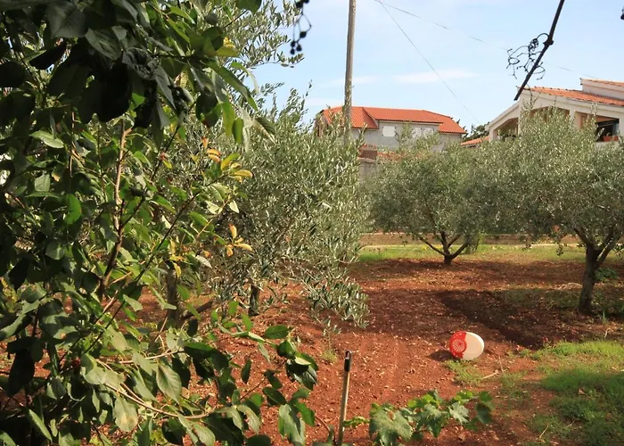 Apartments With Parking Space Ugljan - 8479